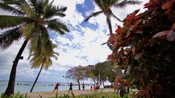 Partido de voleibol de playa con palmeras y el océano al fondo.