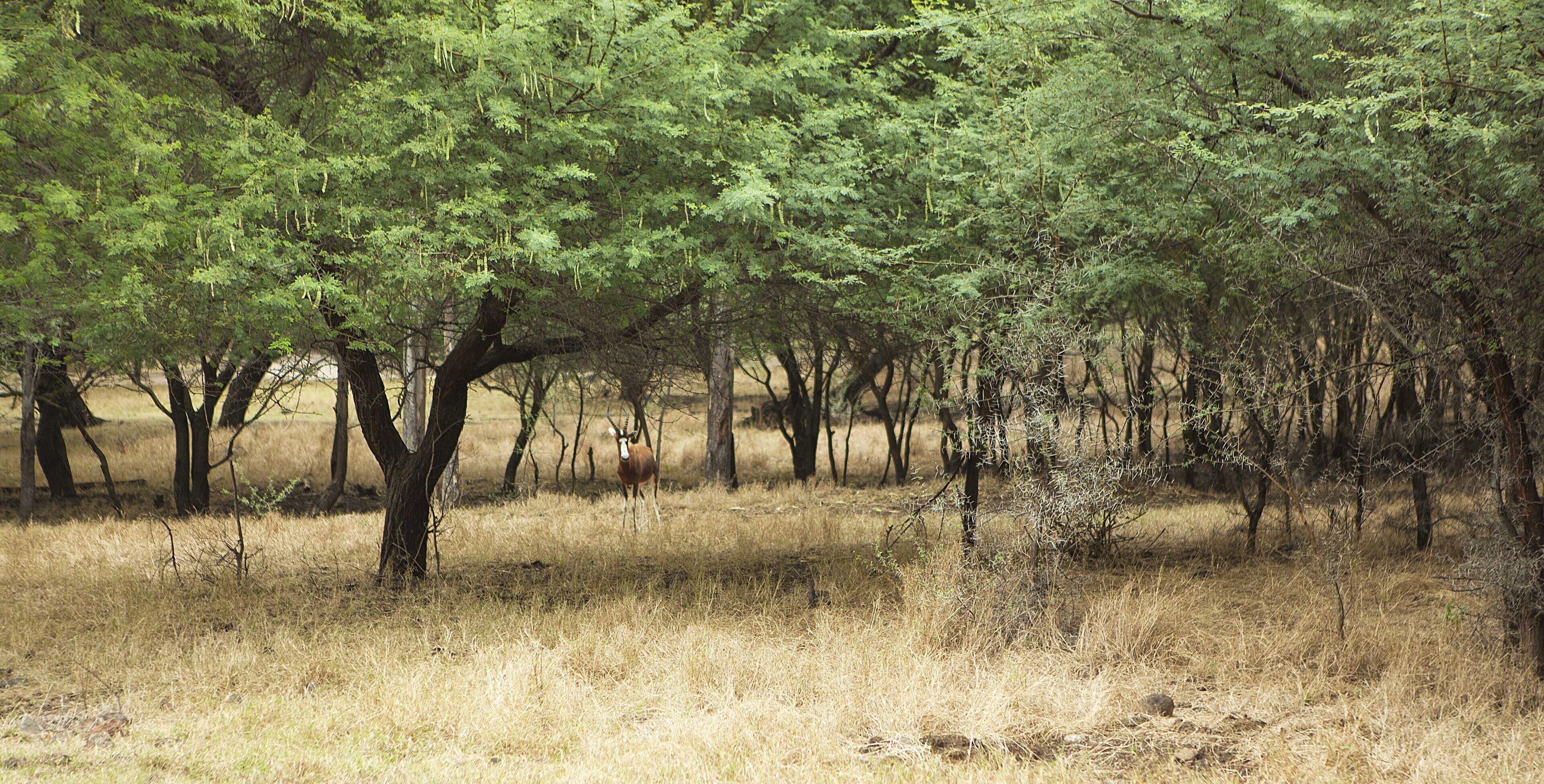 Photo - Sands Suites Resort & Spa