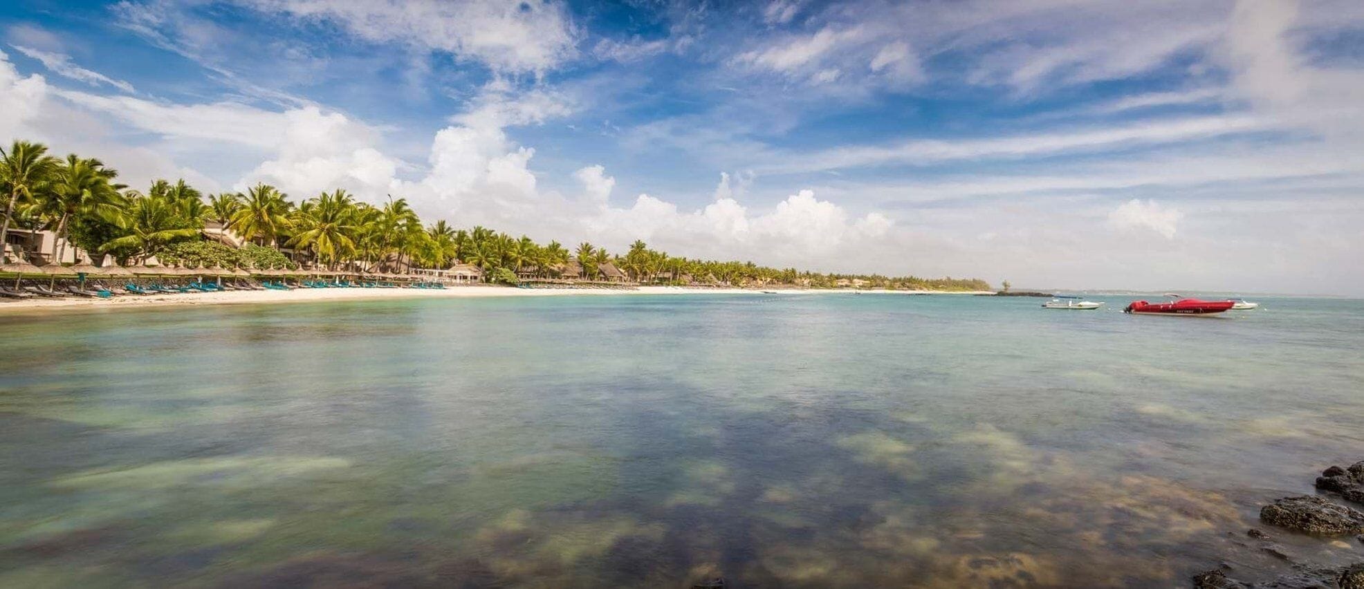 A beach with clear turquoise water, palm trees, and a row of beach umbrellas.