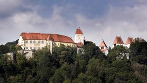 A castle with a prominent tower and multiple buildings with red roofs, surrounded by dense green trees. - Hoftaferne Neuburg (Neuburg am Inn)