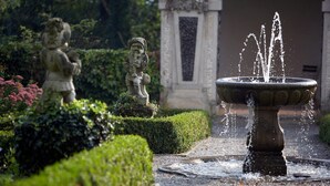 A garden with a fountain and statues. - Hoftaferne Neuburg (Neuburg am Inn)