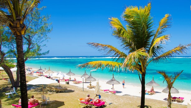 A beach with palm trees, beach chairs, and umbrellas. - Silver Beach (Trou d'Eau Douce)