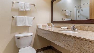 Un baño con inodoro, lavamanos, espejo y toallero.