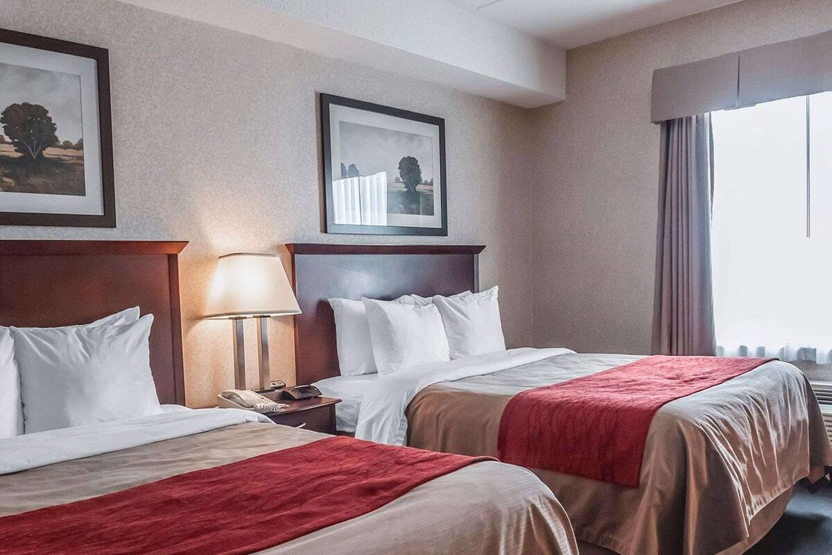 Habitación de hotel con dos camas, una mesita de noche, una lámpara y cuadros en la pared.