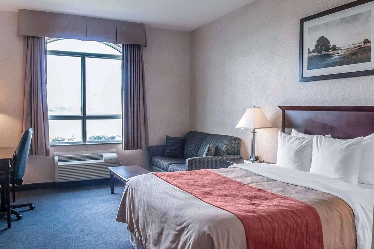 Habitación de hotel con cama, escritorio, silla, ventana con cortinas y un cuadro en la pared.