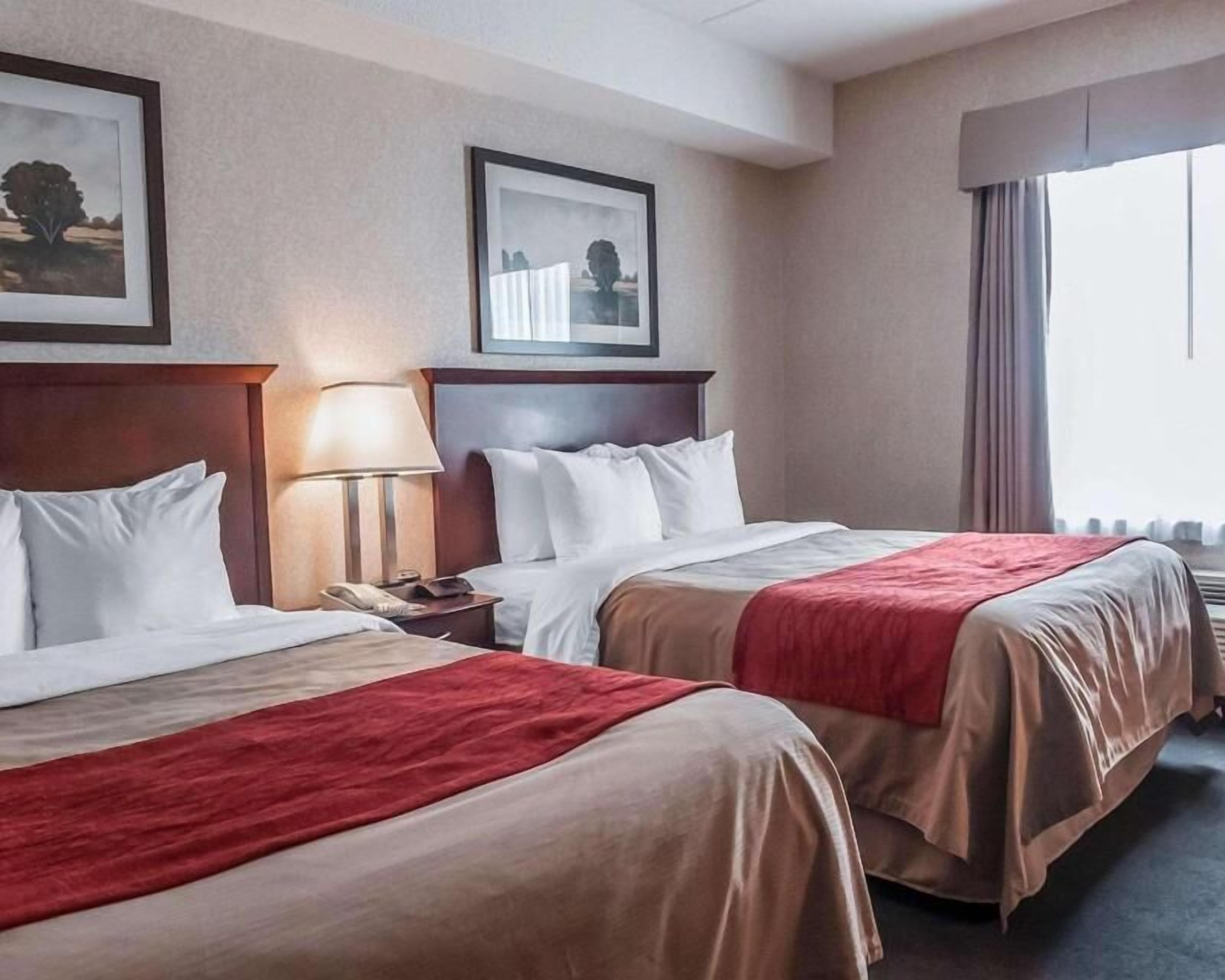 Down comforters, in-room safe, desk, iron/ironing board