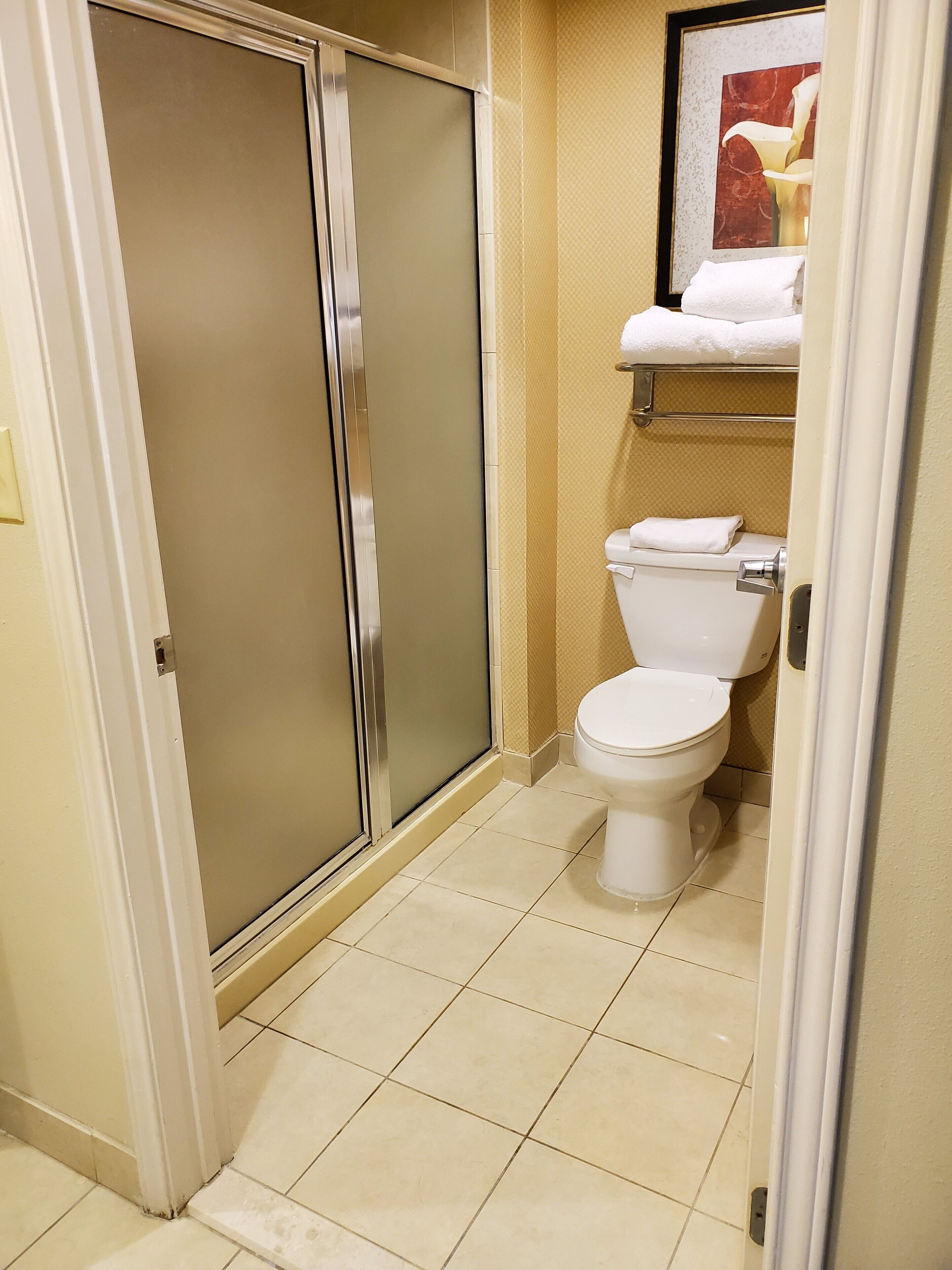 combined shower/bathtub, free toiletries, hair dryer, towels