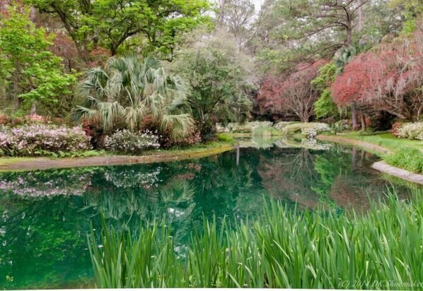 A tranquil garden with a pond, lush greenery, and a variety of trees. - Holiday Inn Hotel & Suites Tallahassee Conference Ctr N by IHG (Tallahassee)