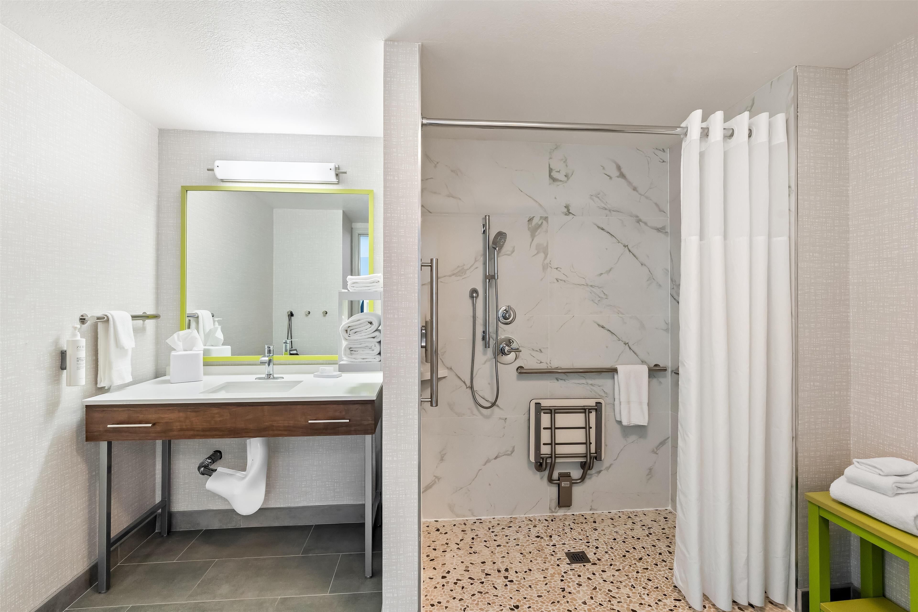 room, 1 king bed, accessible, non smoking | bathroom shower