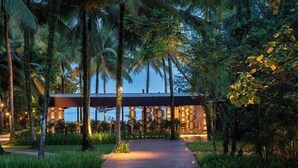 Un edificio moderno con un camino de madera que lo conduce, rodeado de exuberante vegetación y palmeras.