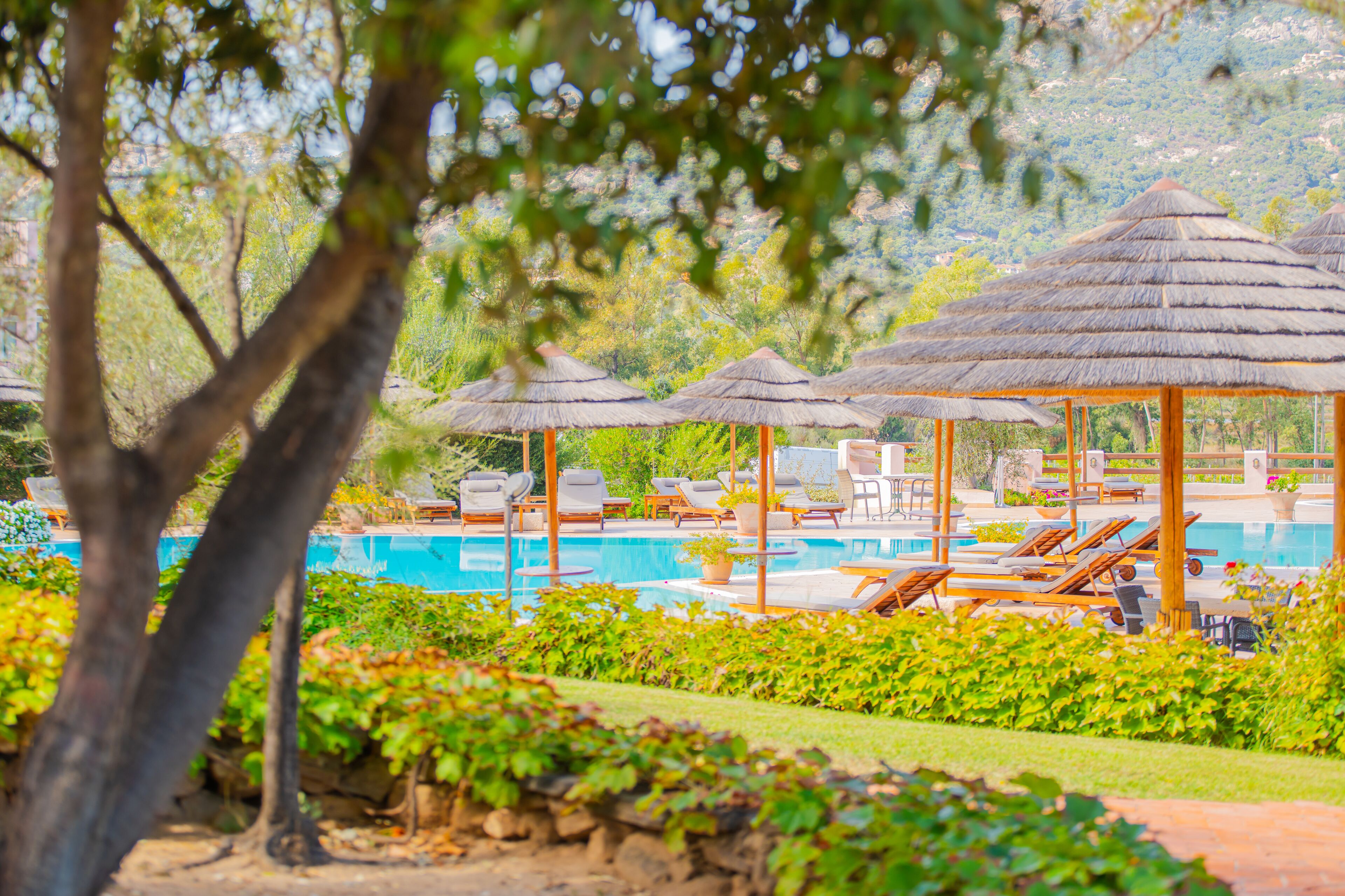 A pool area with sun loungers and thatched umbrellas.