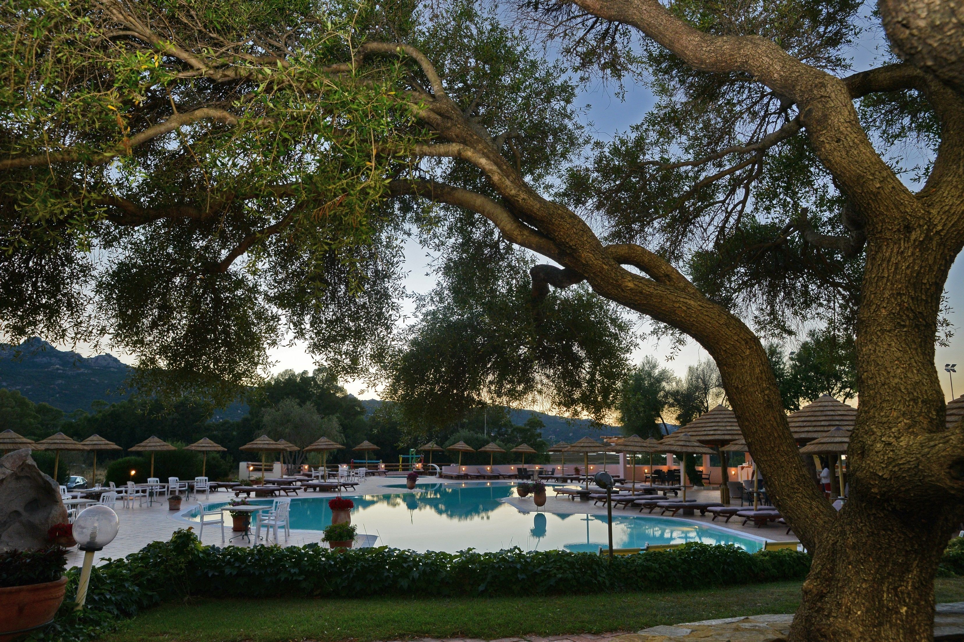 Zona de piscina con sillas de descanso y sombrillas, rodeada de árboles y con una montaña al fondo.