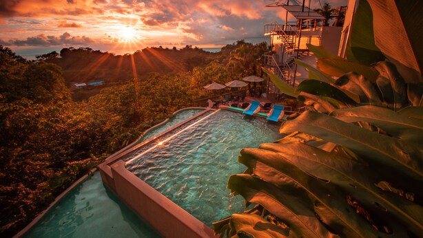 A pool with a view of the sunset, surrounded by tropical foliage. - Gaia Hotel And Reserve - Adults Only (Quepos)