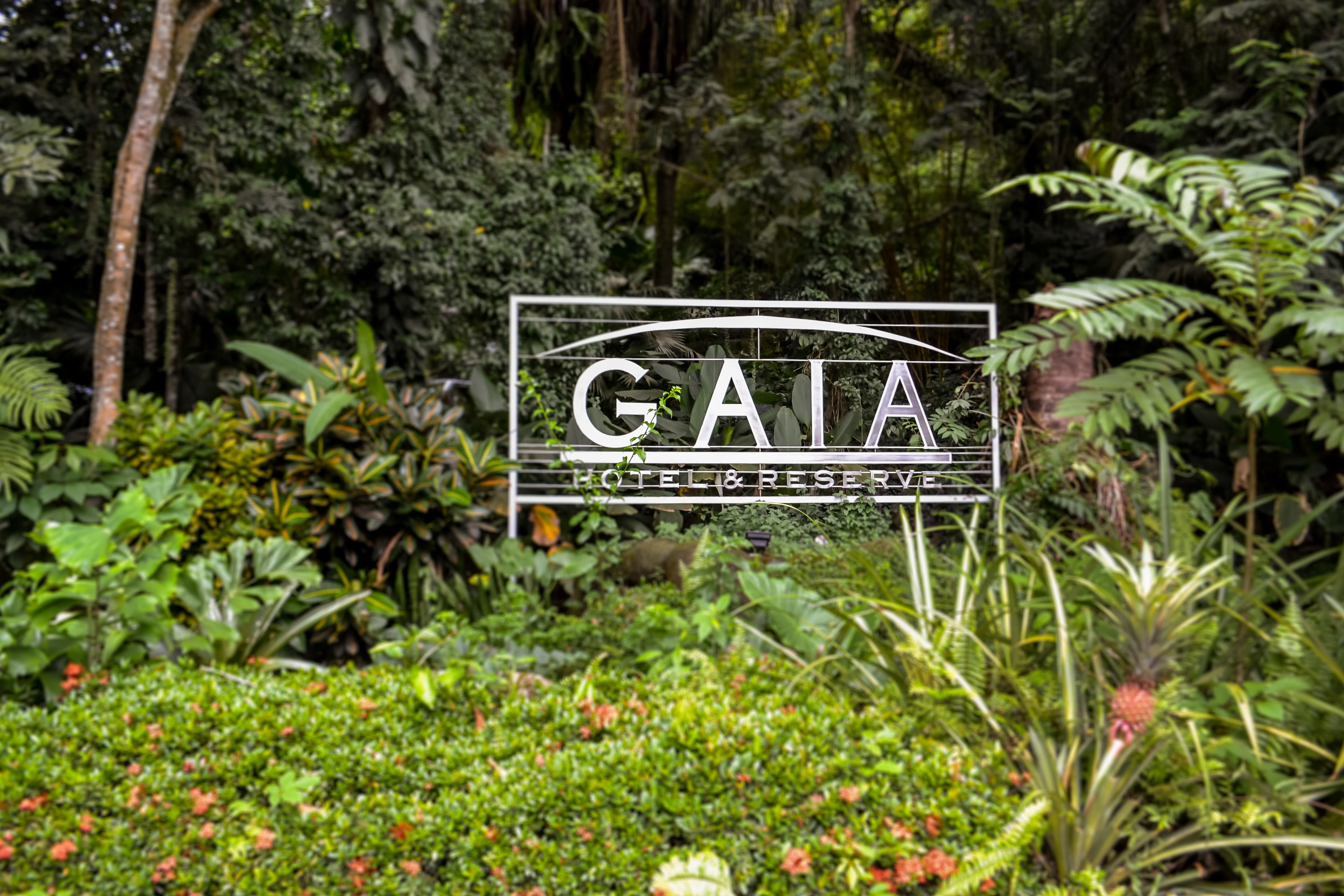 Foto - Gaia Hotel & Reserve- Adults Only