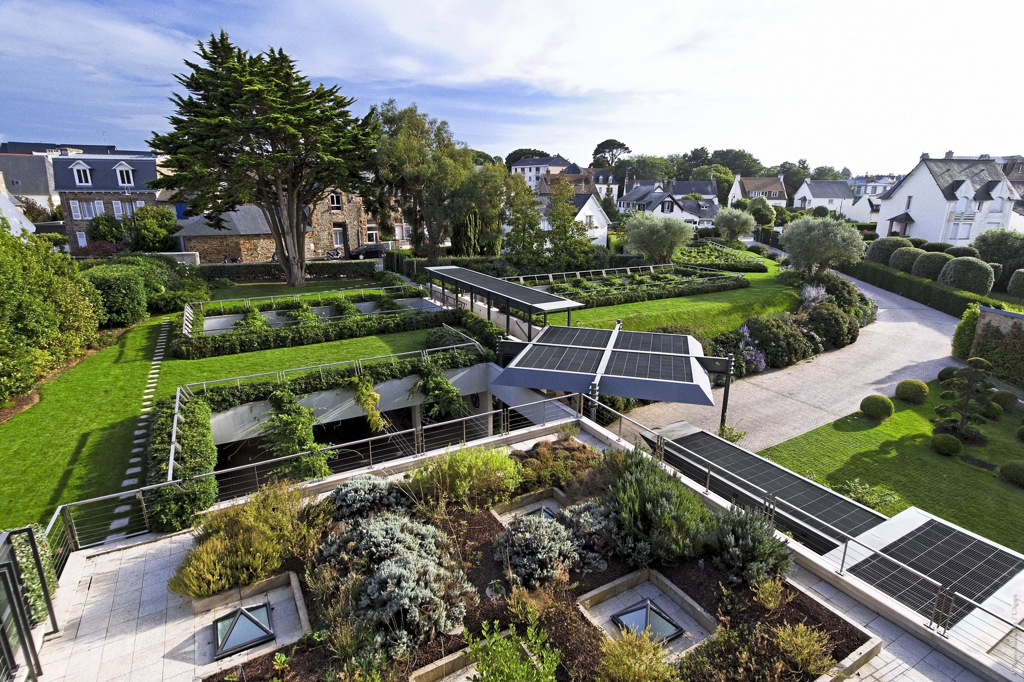 A rooftop garden with solar panels, a pathway, and a variety of plants.