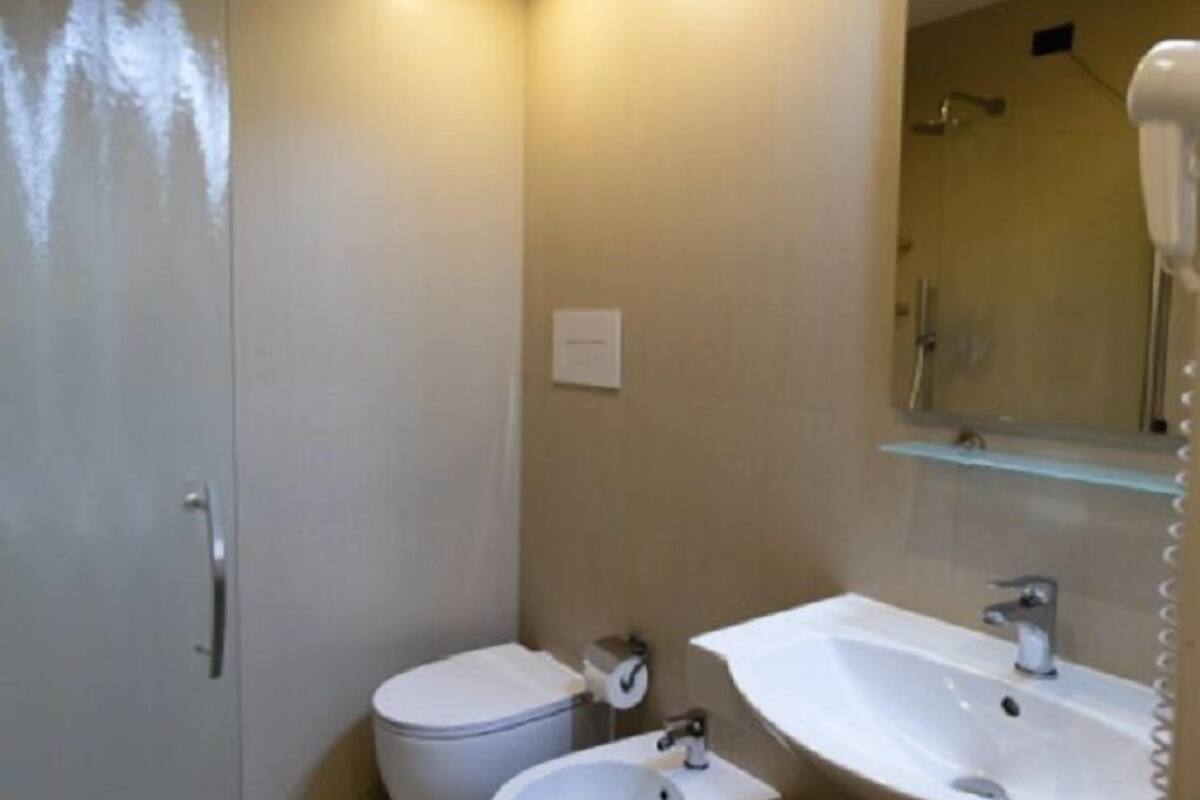 shower, hair dryer, bidet, towels