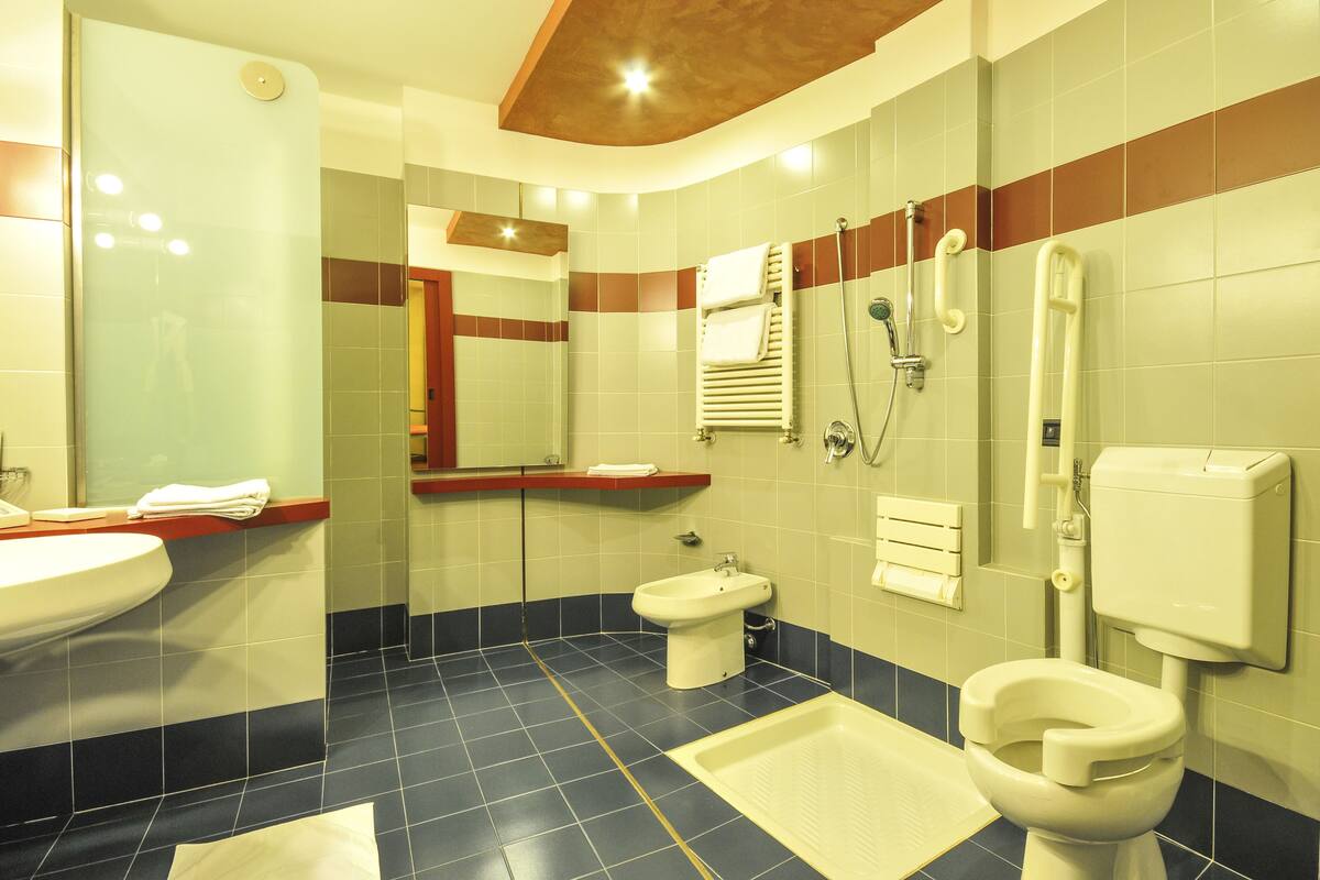 shower, hair dryer, bidet, towels