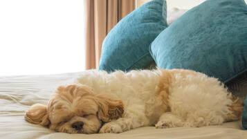 Un perro pequeño y esponjoso durmiendo en una cama con almohadas azules.