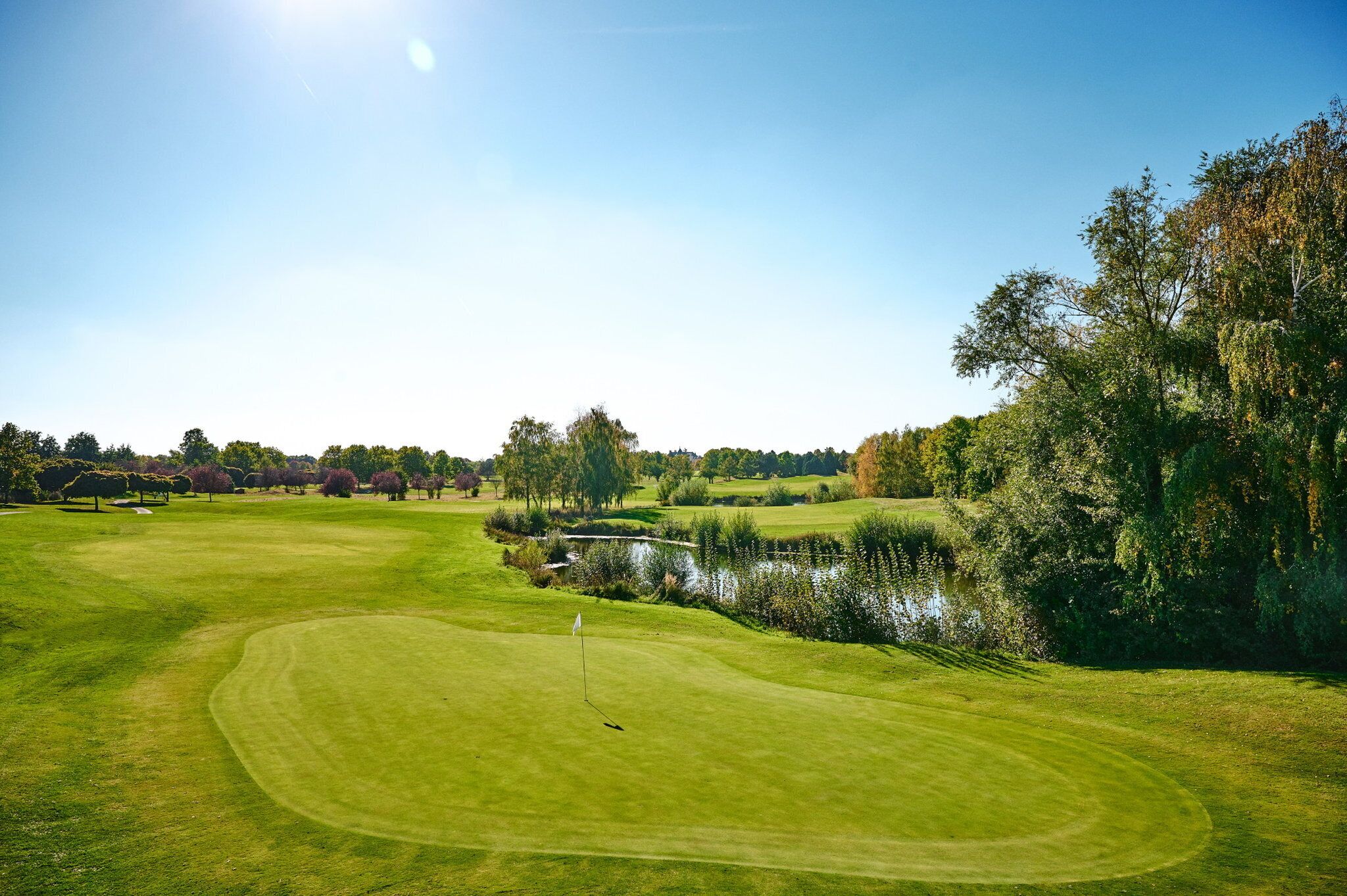 En golfbana med en vattenyta och träd.