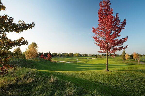 A golf course with a flag on the green, surrounded by trees with autumn leaves. - Hotel Paris Marne La Vallee (Magny-le-Hongre)