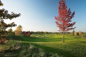 Un parcours de golf avec un drapeau sur le green, entouré d’arbres aux feuilles d’automne.