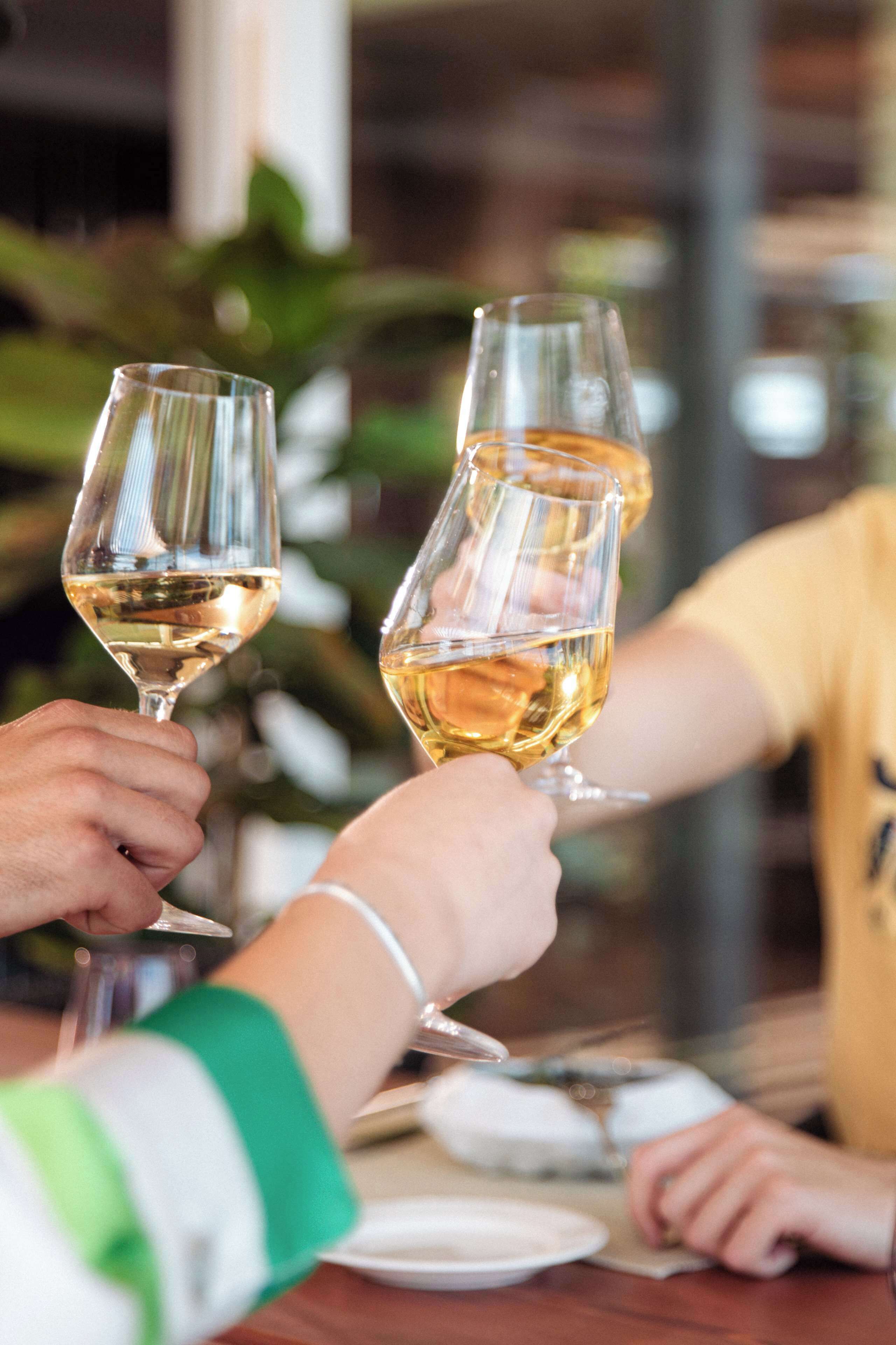 Un groupe de personnes trinquant avec des verres de vin autour d’une table.