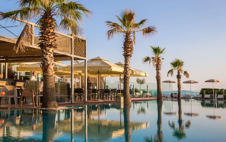 A pool area with palm trees, lounge chairs, and umbrellas.
