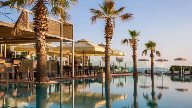 A pool area with palm trees, lounge chairs, and umbrellas.