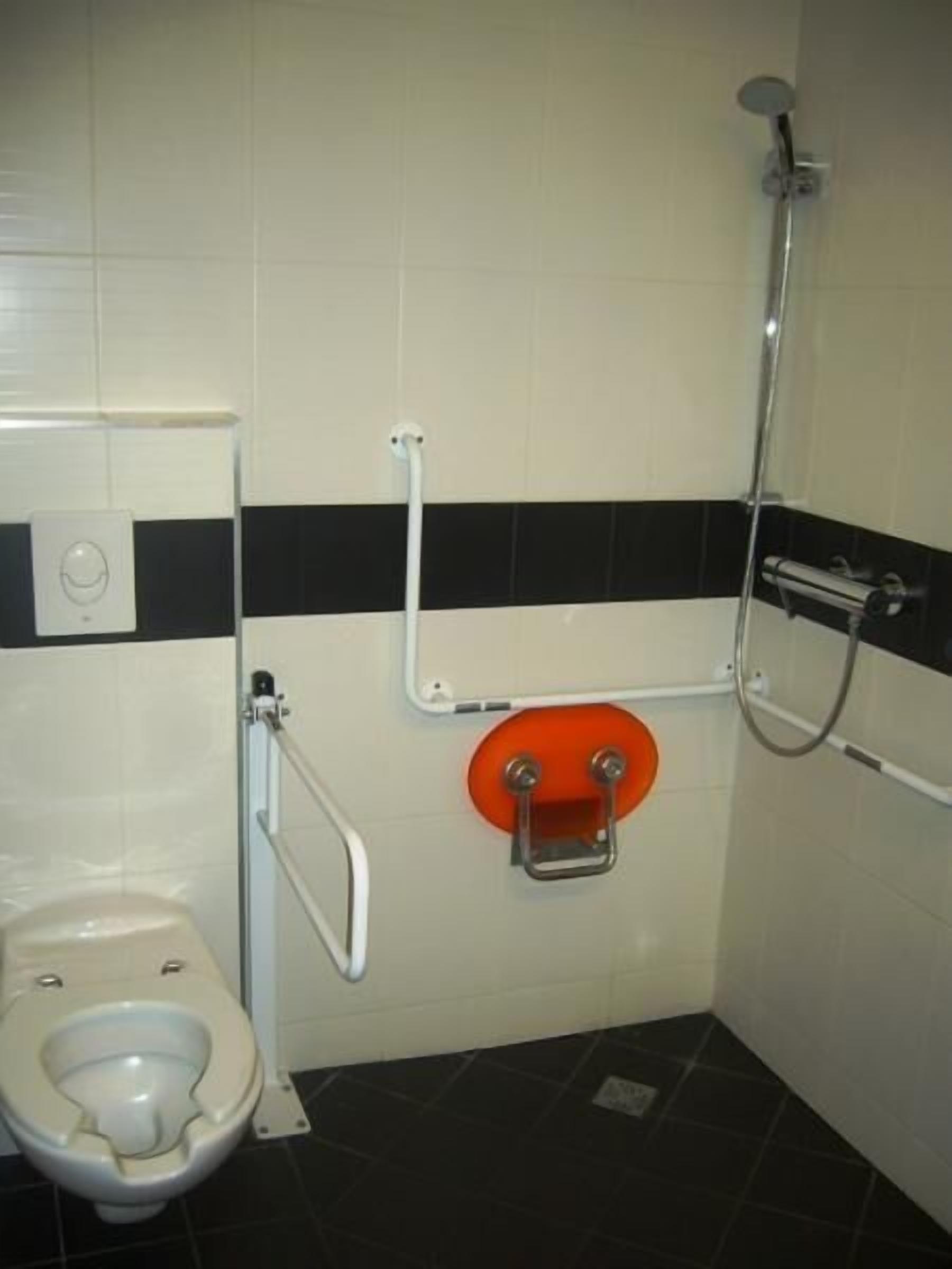 Une salle de bain avec des toilettes blanches, une douche et une barre d’appui.