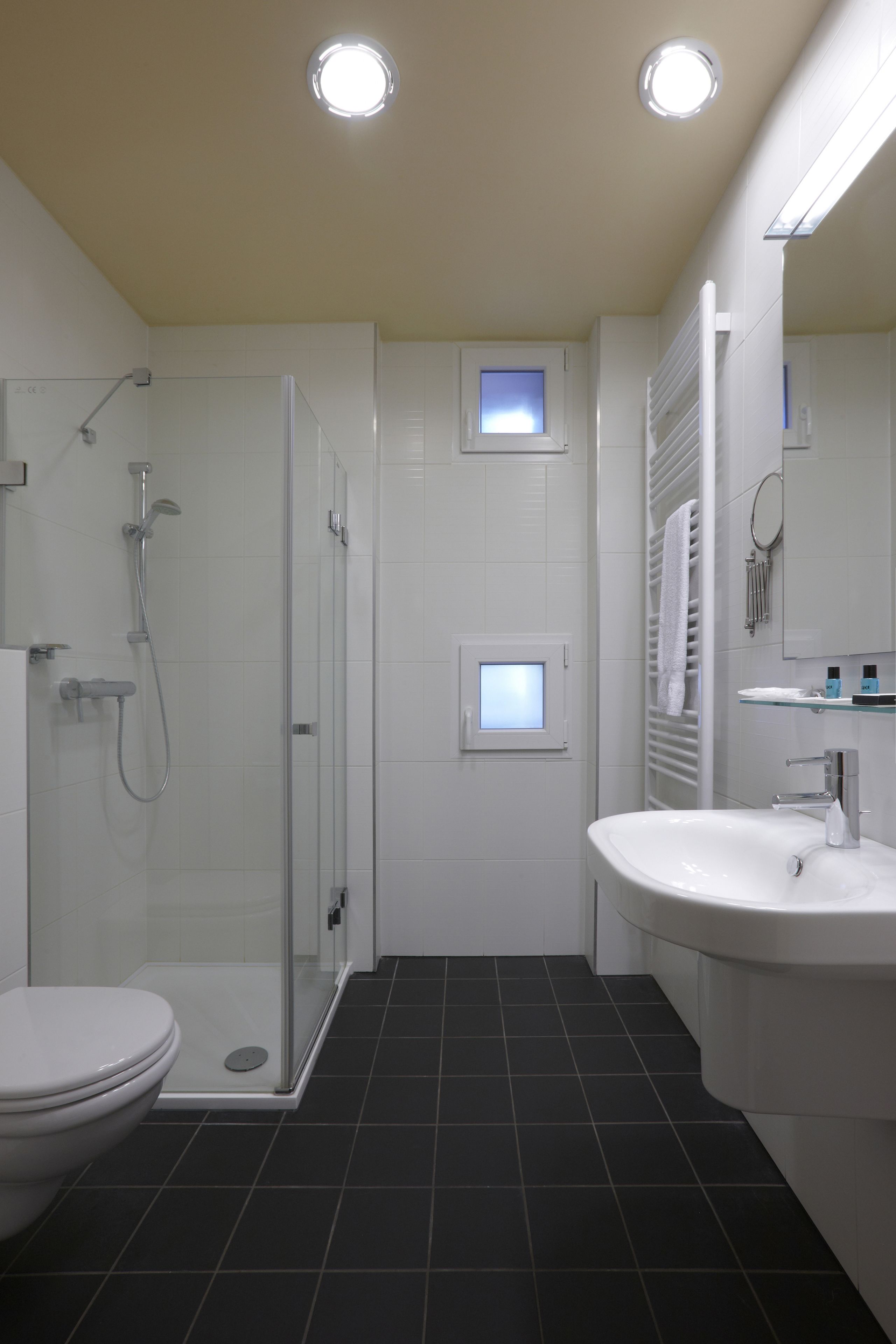 A modern bathroom with a glass-enclosed shower, a white sink, and a toilet.