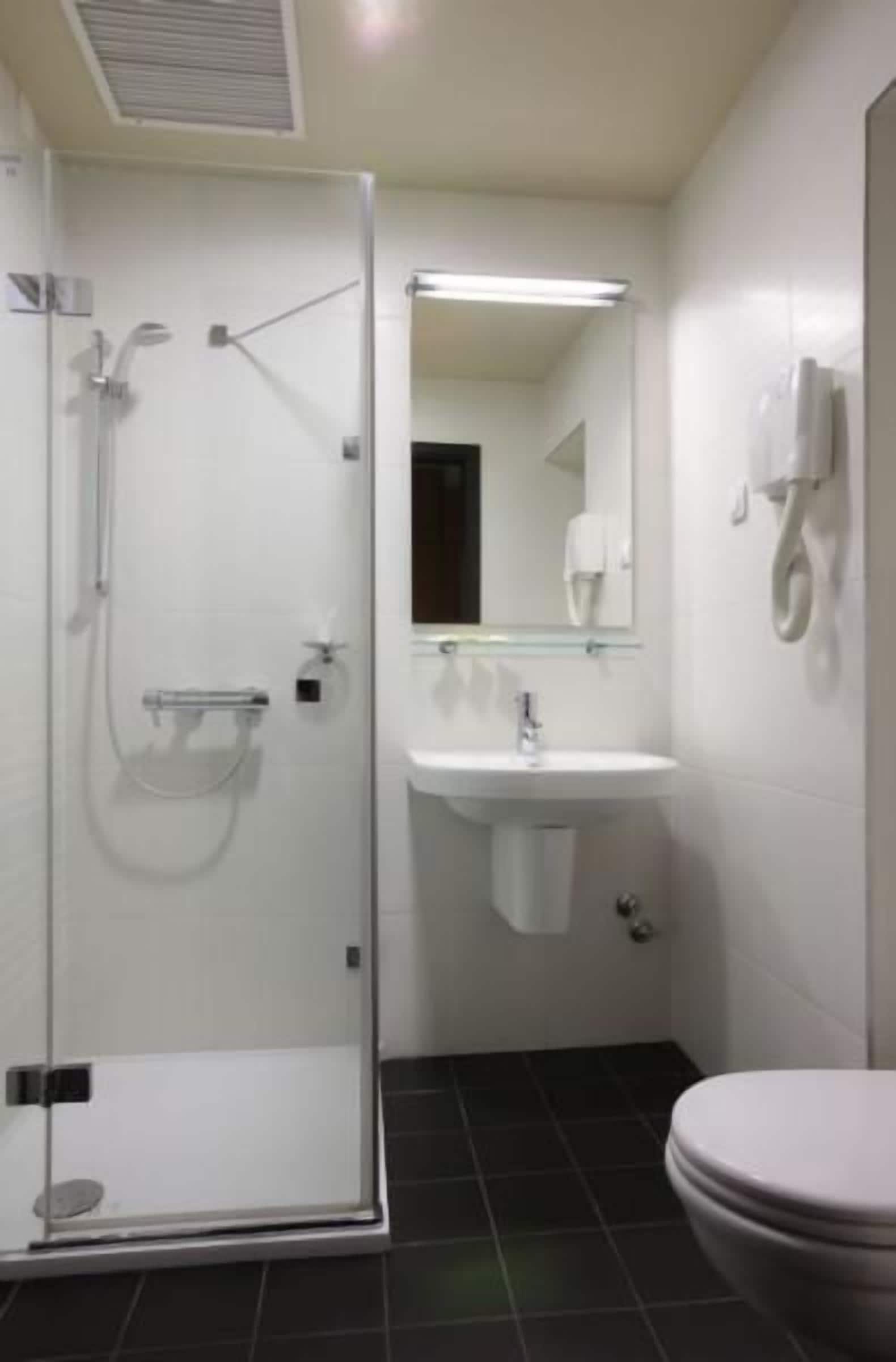 A bathroom with a glass-enclosed shower, a sink, a mirror, and a toilet.