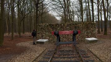 Vías de tren que se adentran en un bosque, con un muro de piedra y dos bancos.