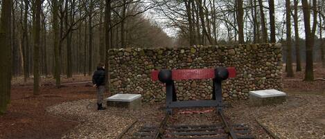 A railway track leading into a forest with a stone wall and two benches.