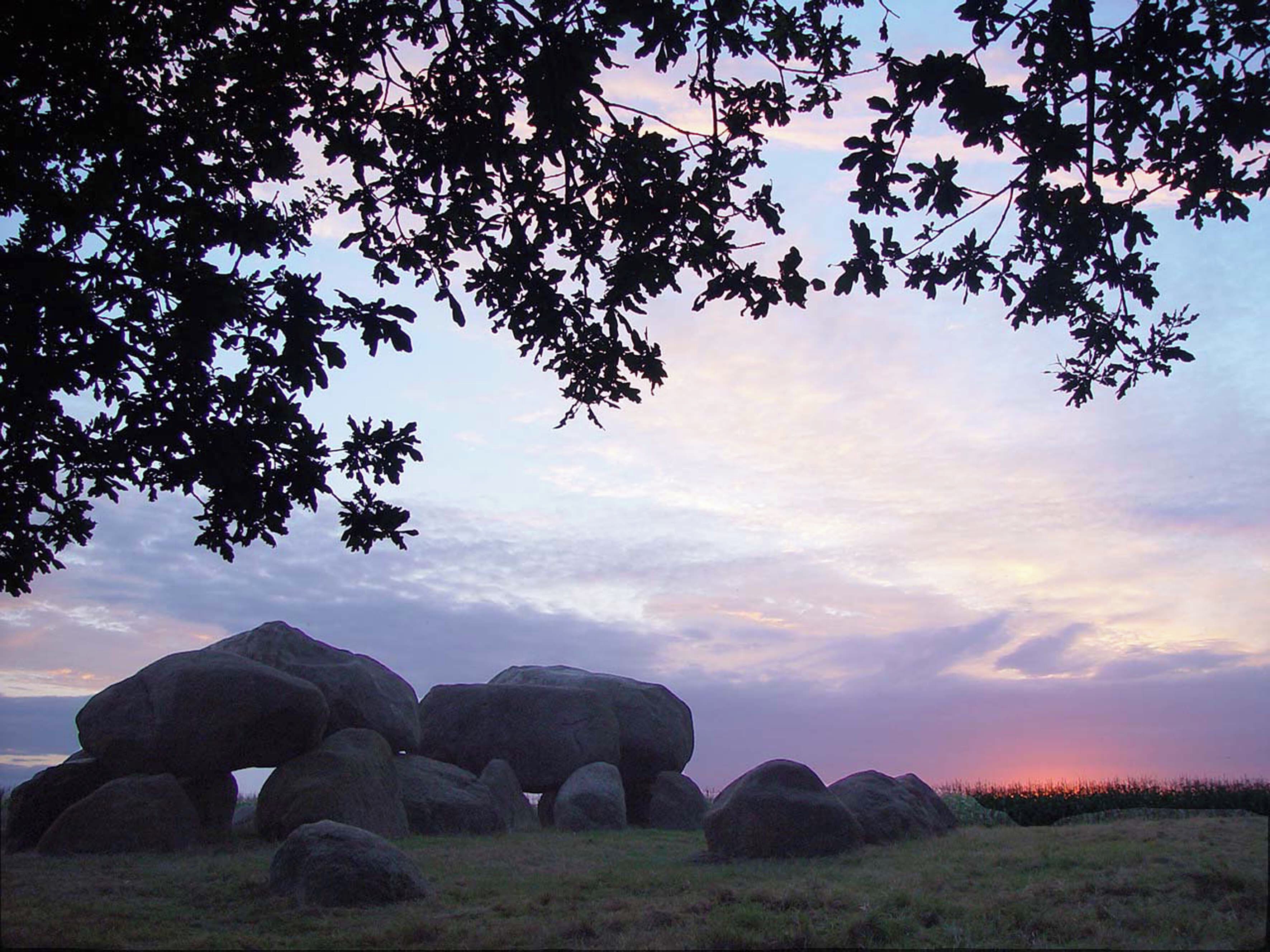 A natural landscape with large boulders and a tree canopy.