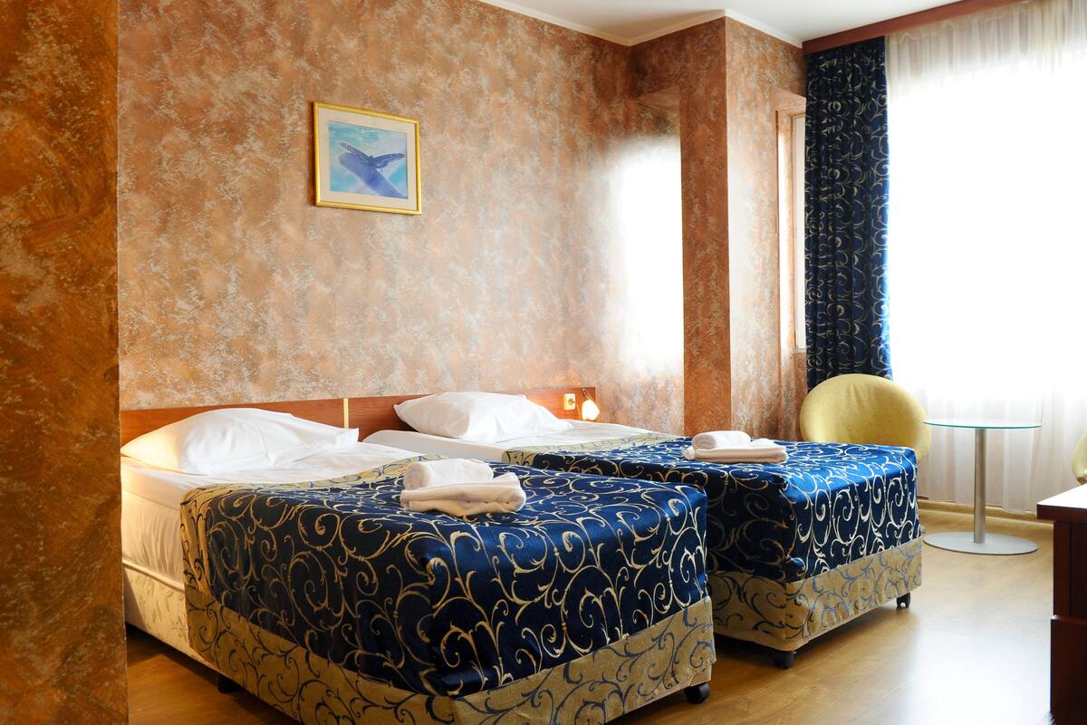 Standard Double or Twin Room