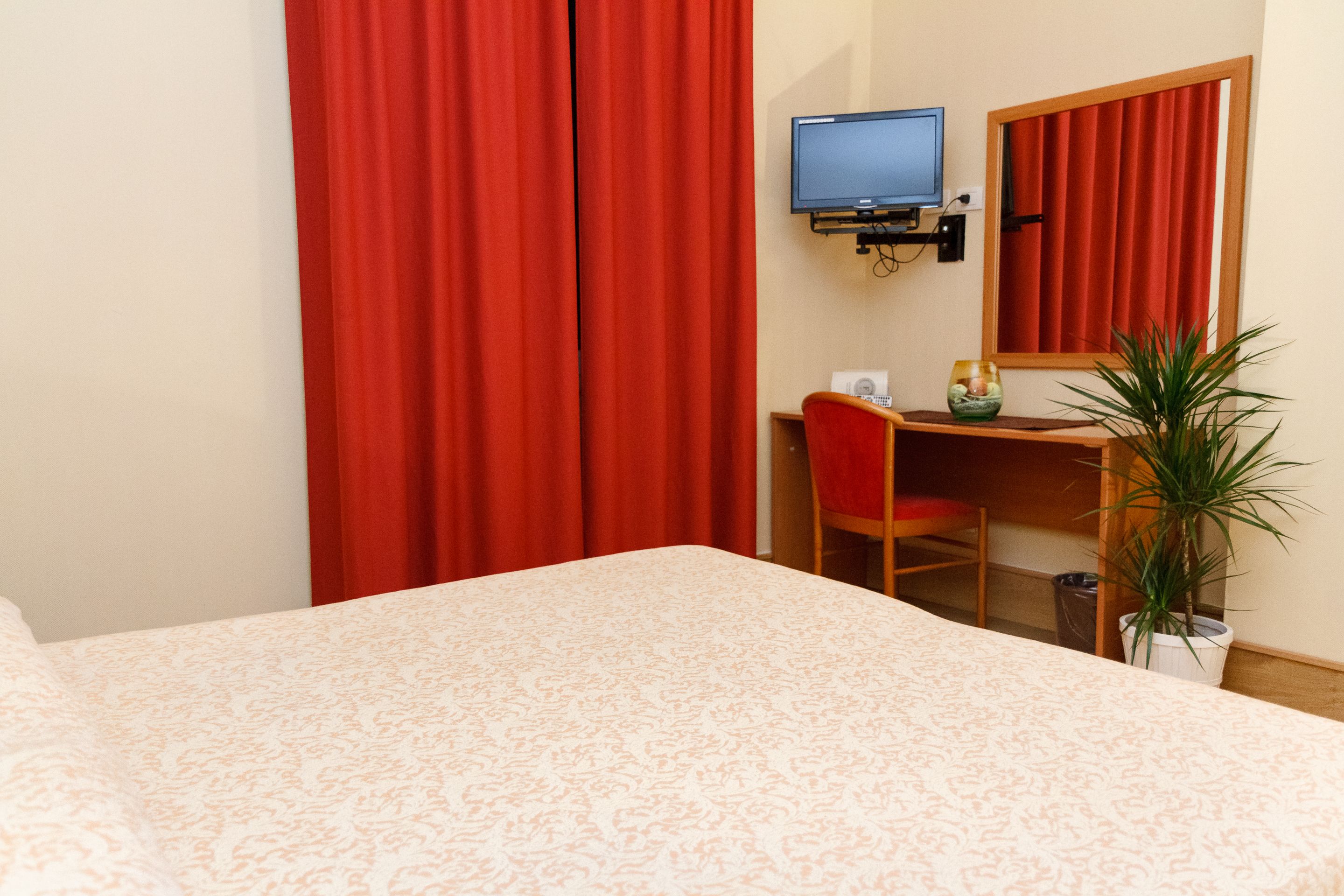 A hotel room with a bed, a desk, a chair, a television, and a potted plant.