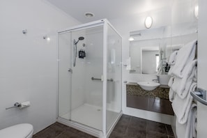 Bathroom features a glass-enclosed shower, toilet, sink with granite countertop, and mirror.