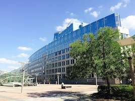 Konaklama yerinden manzara