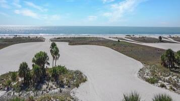 A coastal road with palm trees and a beach in the distance.