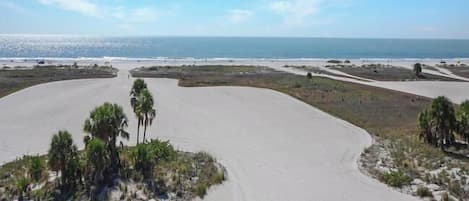 A coastal road with palm trees and a beach in the distance.