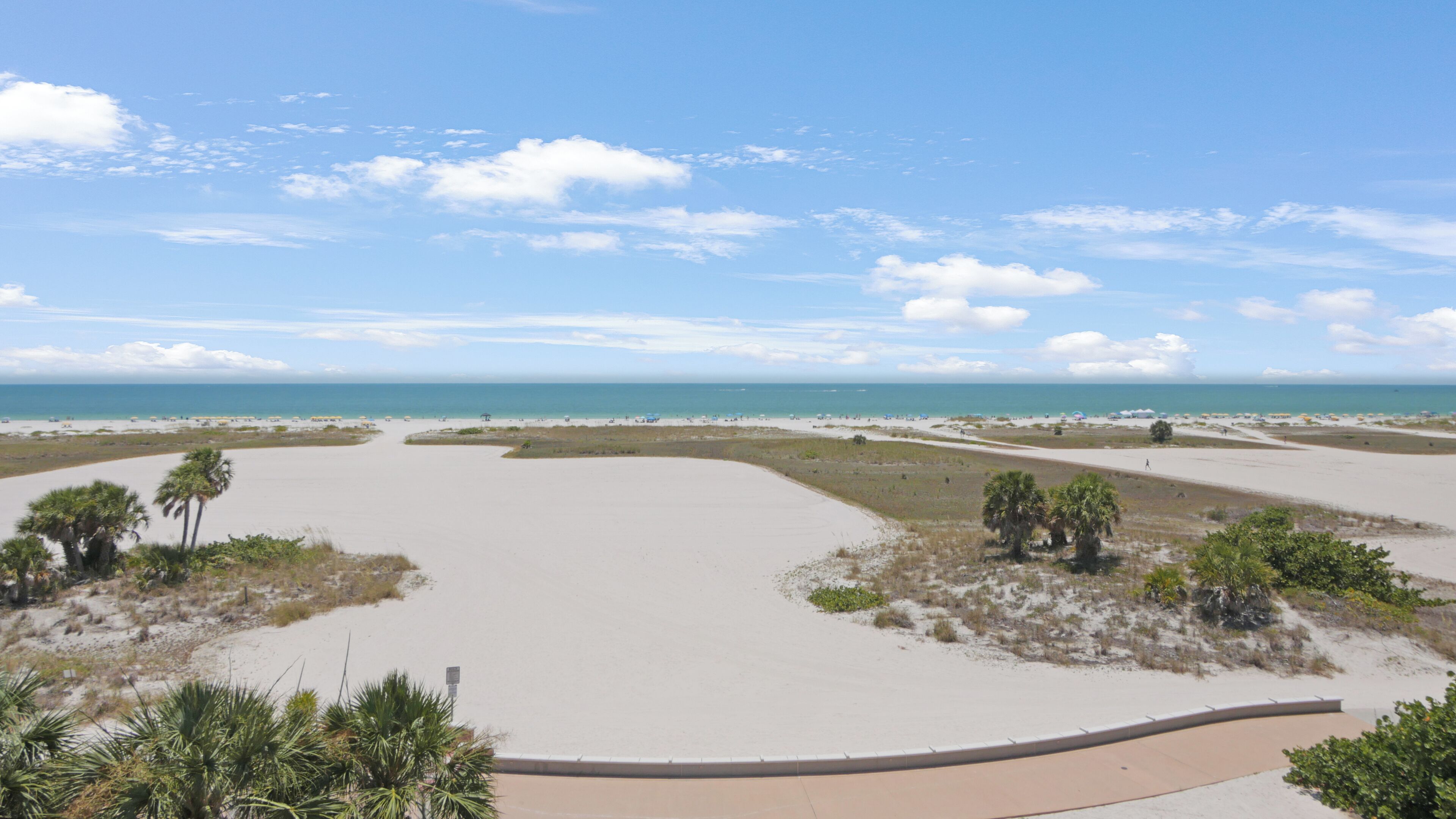 A wide sandy beach with palm trees and a clear view of the ocean.