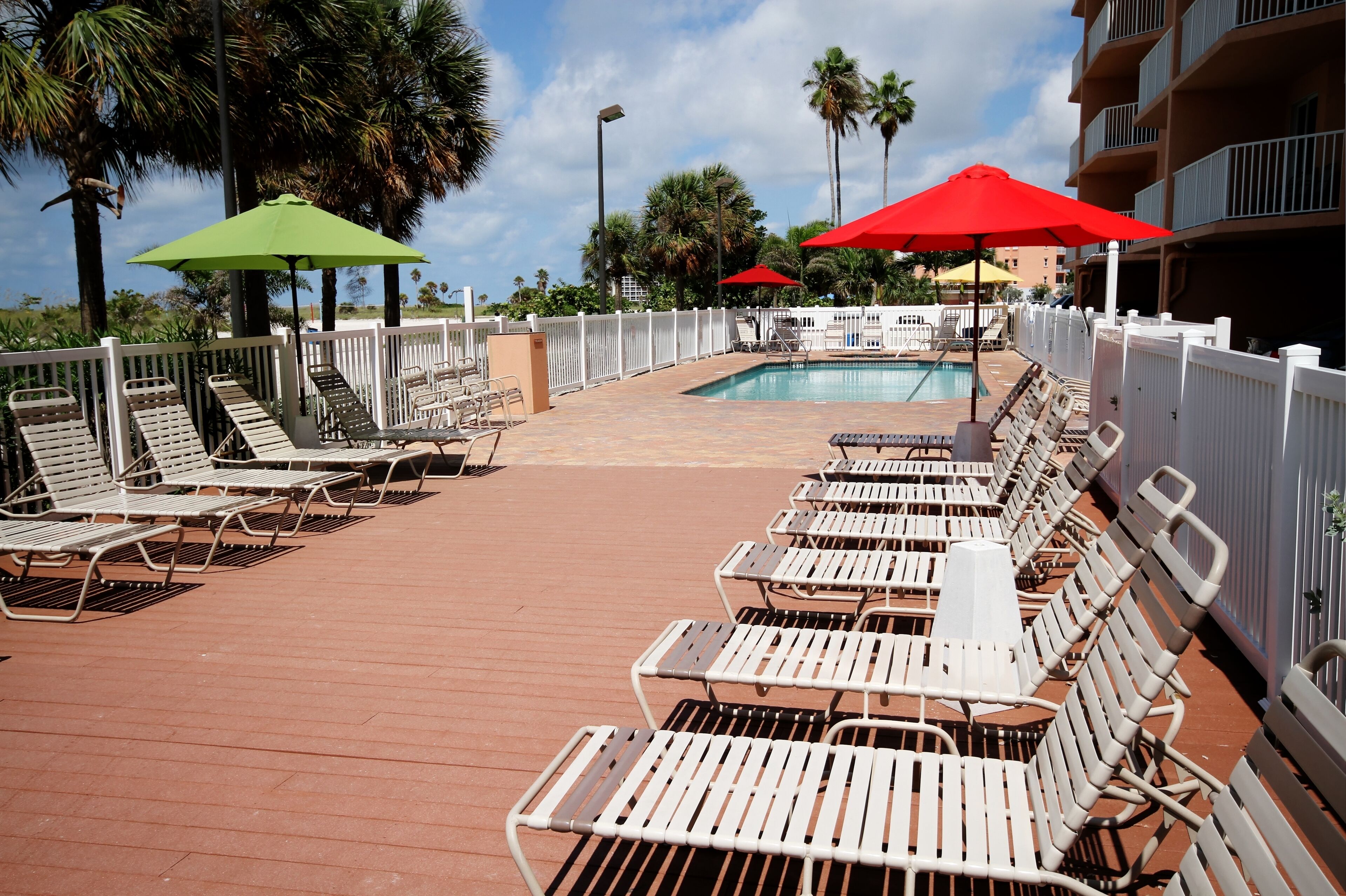 室外游泳池，池畔遮阳伞，日光浴  躺椅