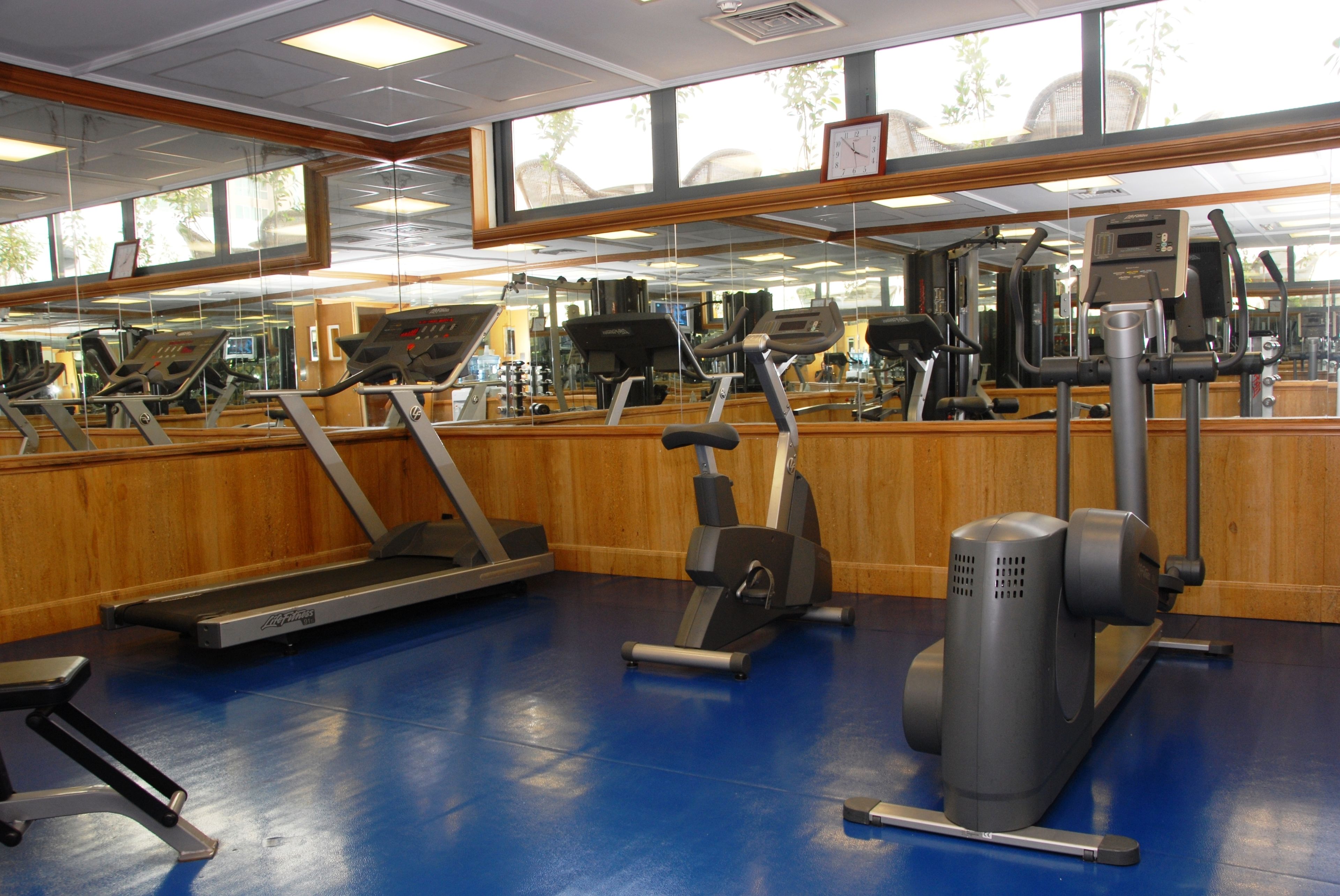 Gimnasio