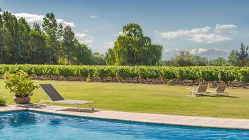 Una piscina al aire libre, sombrillas, sillones reclinables de piscina