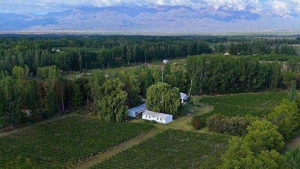 A vineyard with rows of grapevines, a white building, and a mountainous backdrop. - Postales Finca & Bodega by DOT Boutique (Tunuyan)