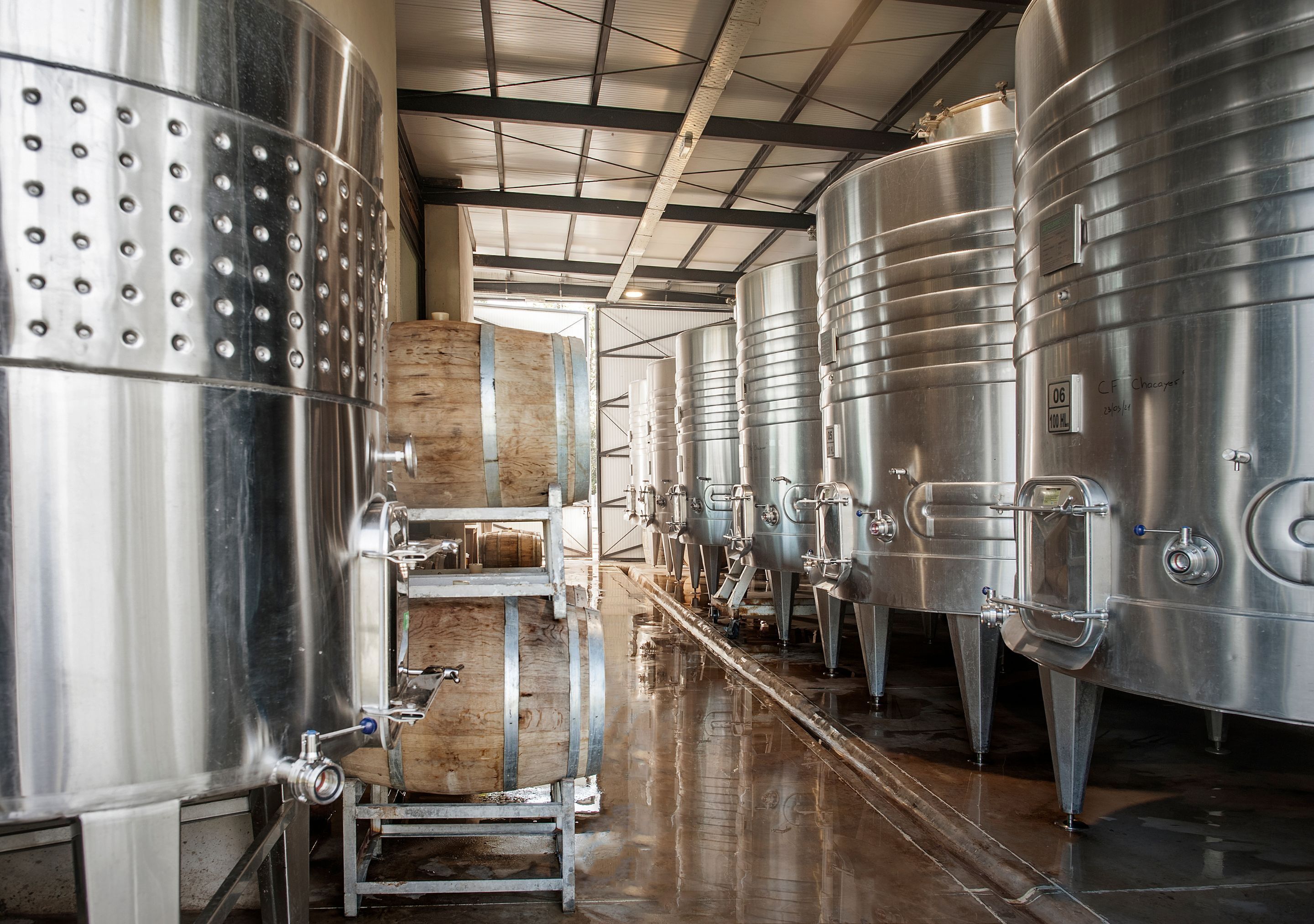 A series of stainless steel fermentation tanks in a clean, industrial setting with a wooden barrel on a rack.