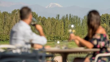 A dining table with a view of a forest and mountains in the background.