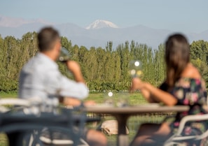 Una mesa de comedor con vistas a un bosque y montañas al fondo.