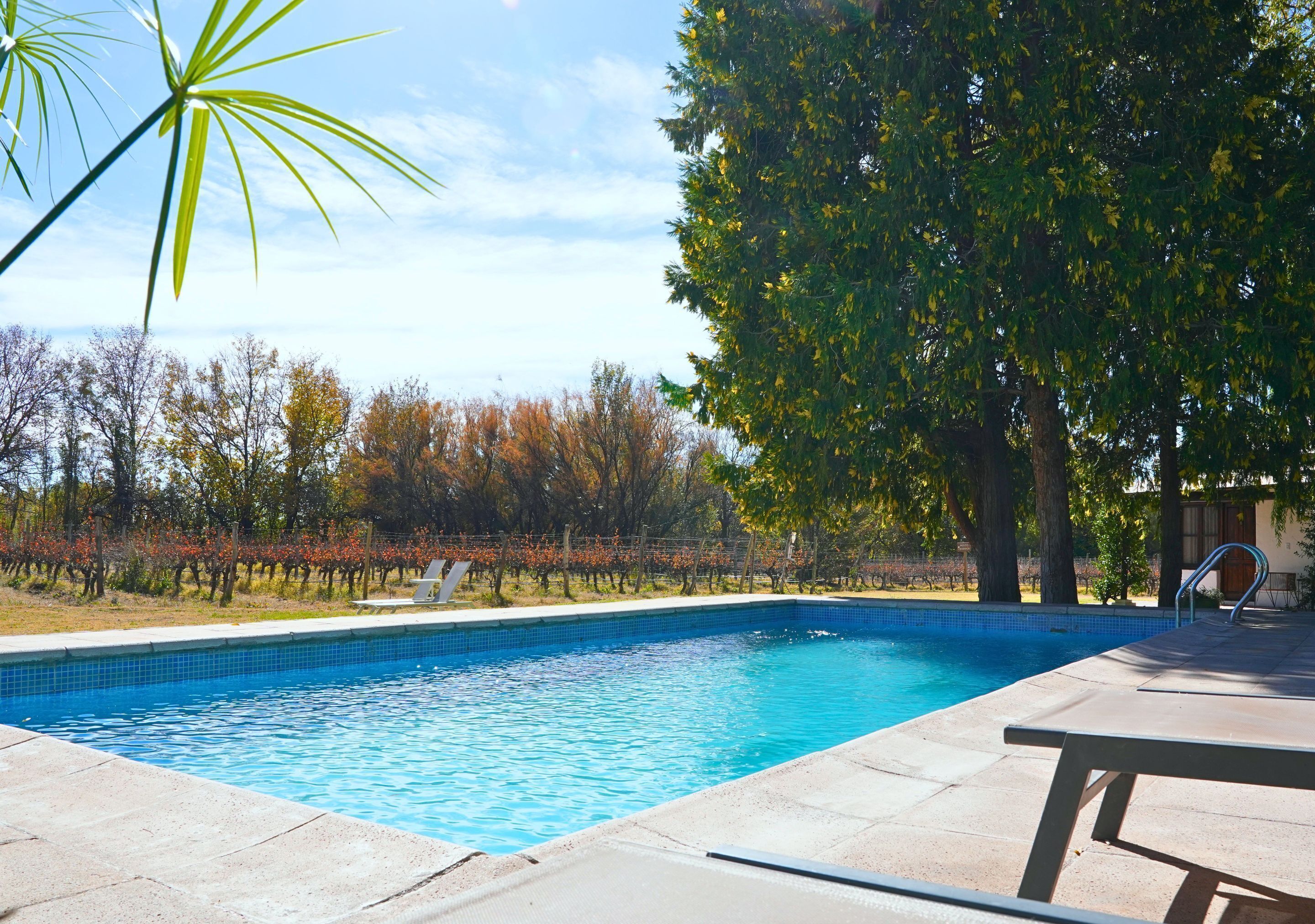A swimming pool with a tiled edge, surrounded by a patio area with lounge chairs.