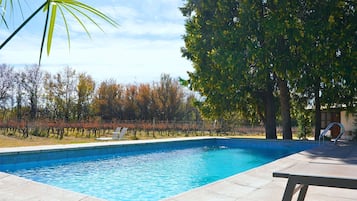 A swimming pool with a tiled edge, surrounded by a patio area with lounge chairs.
